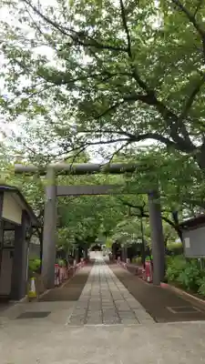 亀戸 香取神社の鳥居