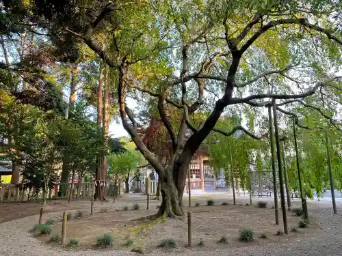 常陸第三宮　吉田神社の自然