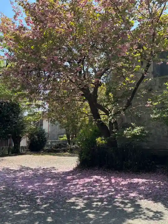 今市報徳二宮神社の{uncategorized: "未分類", other: "その他", undefined: "問題あり", building: "その他建物", grave: "お墓", sacred_gate: "鳥居", guardian: "狛犬", statue: "像", buddha: "仏像", history: "歴史", nature: "自然", garden: "庭園", animal: "動物", pagoda: "塔", temizu: "手水舎", mountain_gate: "山門・神門", sanctuary: "本殿・本堂", subordinate: "末社・摂社", art: "芸術", scenery: "景色", jizo: "地蔵", ema: "絵馬", goshuin: "御朱印", omikuji: "おみくじ", items: "授与品その他", amulet: "お守り", goshuincho: "御朱印帳", eats: "食事", festival: "お祭り", votive_dance: "神楽", shichigosan: "七五三参", wedding: "結婚式", experience: "体験その他", initially: "初詣", around: "周辺", anti_infection: "感染症対策"}