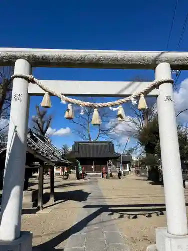 橘神社の鳥居