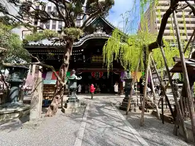 頂法寺（六角堂）(京都府)
