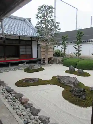 妙蓮寺の庭園