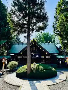 土津神社|こどもと出世の神さま(福島県)(2025年09月04日(木) 13時30分37秒投稿)