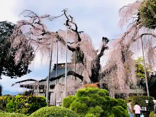 慈雲寺(山梨県)