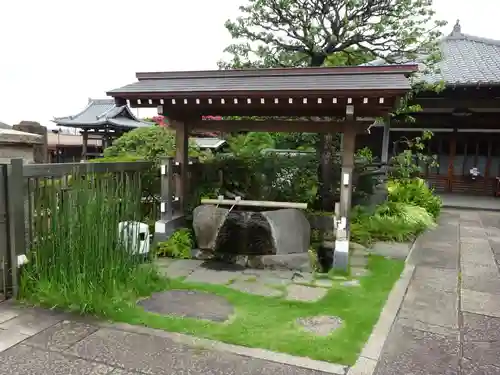 妙蓮寺の手水舎