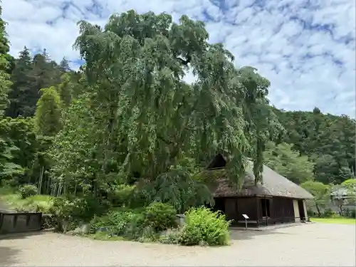 高麗神社(埼玉県)