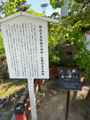白山神社の{uncategorized: "未分類", other: "その他", undefined: "問題あり", building: "その他建物", grave: "お墓", sacred_gate: "鳥居", guardian: "狛犬", statue: "像", buddha: "仏像", history: "歴史", nature: "自然", garden: "庭園", animal: "動物", pagoda: "塔", temizu: "手水舎", mountain_gate: "山門・神門", sanctuary: "本殿・本堂", subordinate: "末社・摂社", art: "芸術", scenery: "景色", jizo: "地蔵", ema: "絵馬", goshuin: "御朱印", omikuji: "おみくじ", items: "授与品その他", amulet: "お守り", goshuincho: "御朱印帳", eats: "食事", festival: "お祭り", votive_dance: "神楽", shichigosan: "七五三参", wedding: "結婚式", experience: "体験その他", initially: "初詣", around: "周辺", anti_infection: "感染症対策"}
