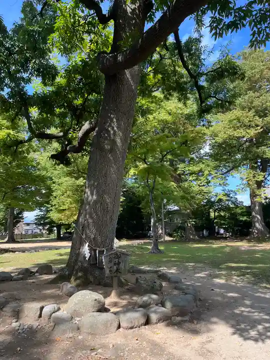 六椹八幡宮(山形県)