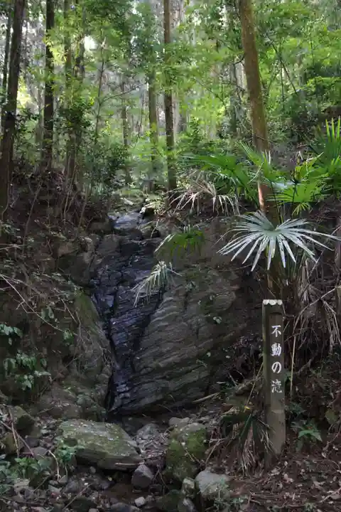 武蔵二宮 金鑚神社の自然
