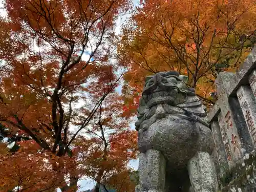 大山阿夫利神社の狛犬