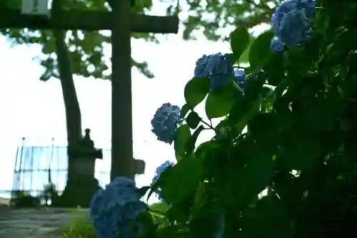 安禅寺(新潟県)