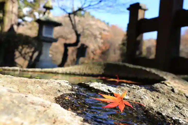 鹿島大神宮の手水舎