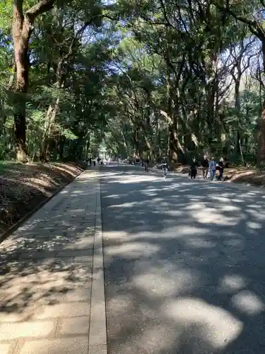 明治神宮(東京都)