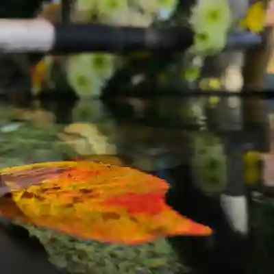 高司神社〜むすびの神の鎮まる社〜の授与品その他