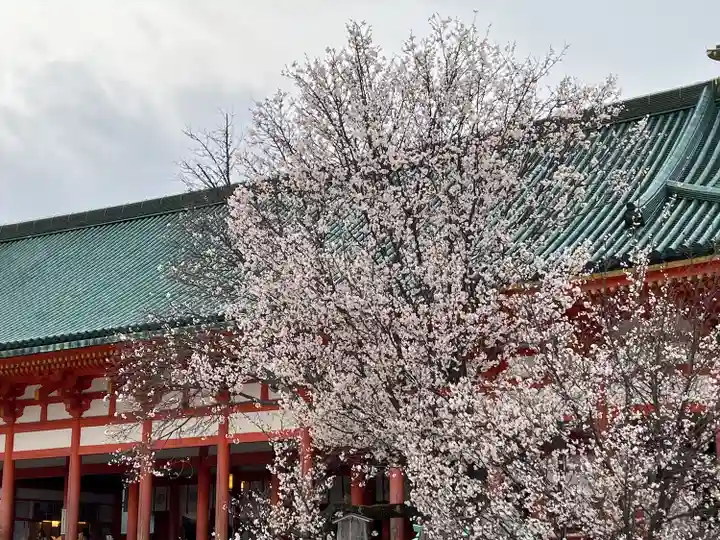 平安神宮(京都府)