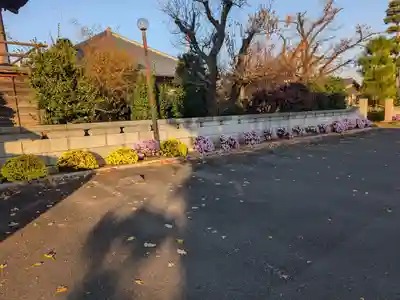 成就院浄光寺(埼玉県)