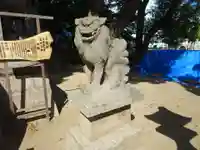 福崎住吉神社の狛犬