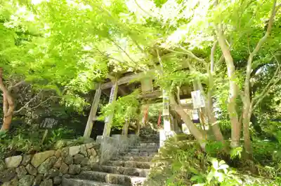 大日寺(高知県)