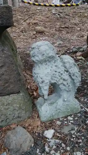 泊稲荷神社の狛犬