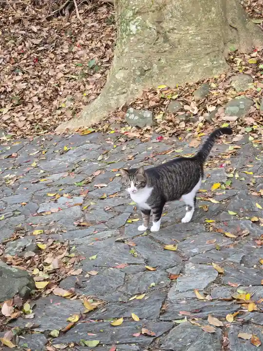 鵜戸神社(大御神社境内社)(宮崎県)