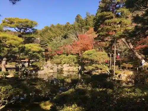 慈照寺（慈照禅寺・銀閣寺）の庭園