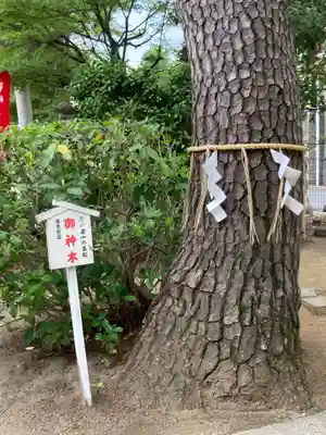 松先稲荷神社(千葉県)