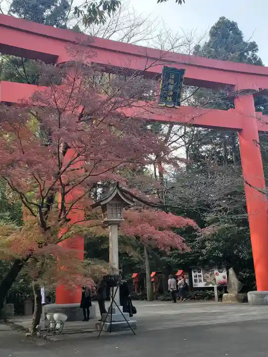 冠稲荷神社の鳥居