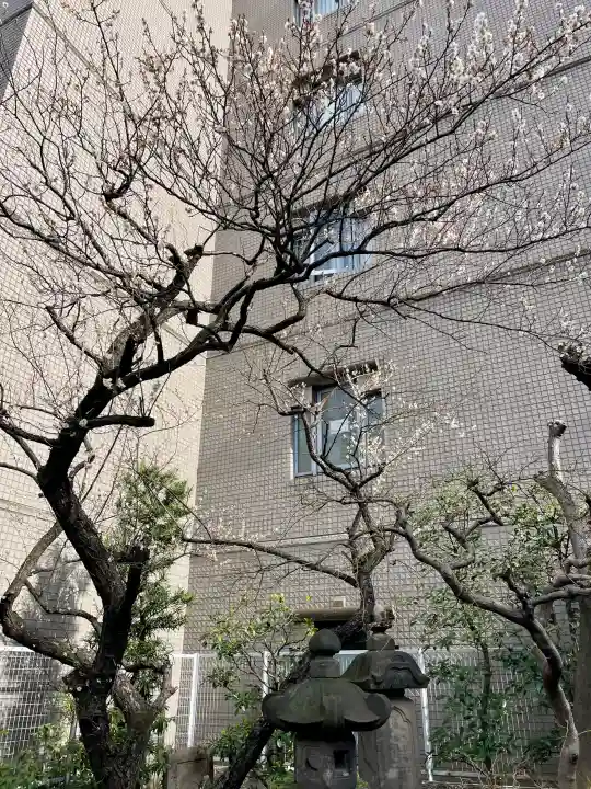 善性寺の{uncategorized: "未分類", other: "その他", undefined: "問題あり", building: "その他建物", grave: "お墓", sacred_gate: "鳥居", guardian: "狛犬", statue: "像", buddha: "仏像", history: "歴史", nature: "自然", garden: "庭園", animal: "動物", pagoda: "塔", temizu: "手水舎", mountain_gate: "山門・神門", sanctuary: "本殿・本堂", subordinate: "末社・摂社", art: "芸術", scenery: "景色", jizo: "地蔵", ema: "絵馬", goshuin: "御朱印", omikuji: "おみくじ", items: "授与品その他", amulet: "お守り", goshuincho: "御朱印帳", eats: "食事", festival: "お祭り", votive_dance: "神楽", shichigosan: "七五三参", wedding: "結婚式", experience: "体験その他", initially: "初詣", around: "周辺", anti_infection: "感染症対策"}