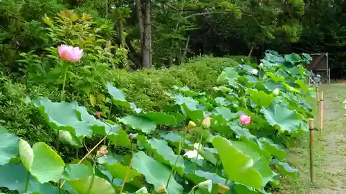 唐招提寺の自然