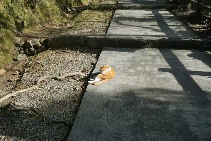 唐澤山神社の動物