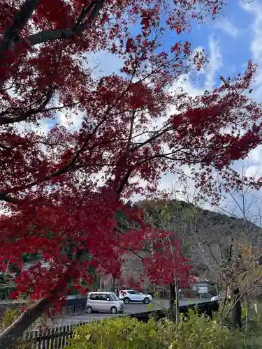 高麗神社(埼玉県)