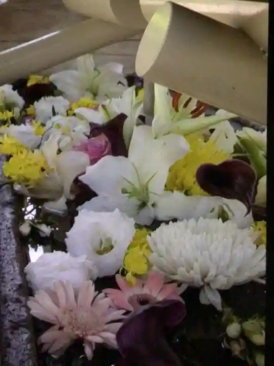 鳩森八幡神社の手水舎