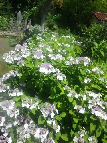 御霊神社の自然