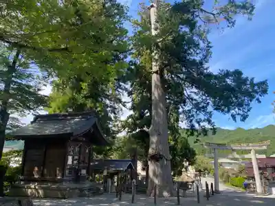 飛驒一宮水無神社(岐阜県)