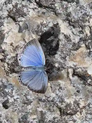 柿本神社(兵庫県)