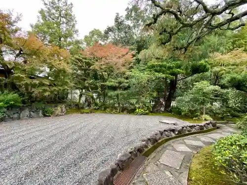 養徳院の庭園