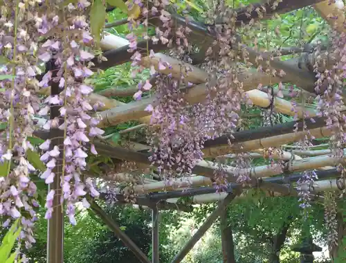 佐野原神社(静岡県)