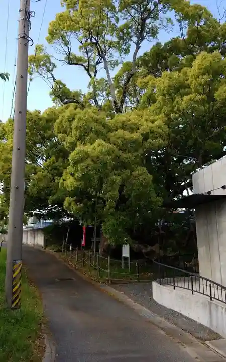 大智院(清水寺大智院)の自然
