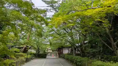 二尊院(京都府)