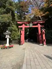 彌彦神社(新潟県)