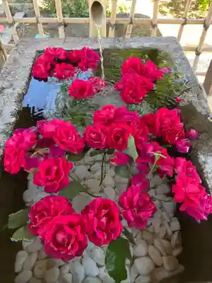 尾曳稲荷神社の手水舎