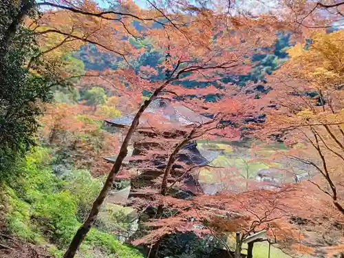 金剛院(京都府)