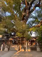 三島神社(大阪府)