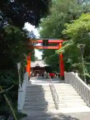 白笹稲荷神社の鳥居