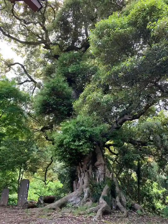 日枝神社の自然