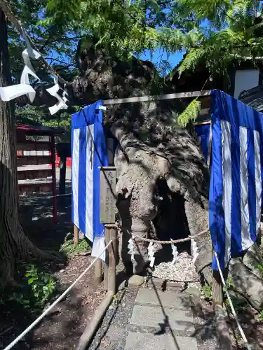 生島足島神社(長野県)