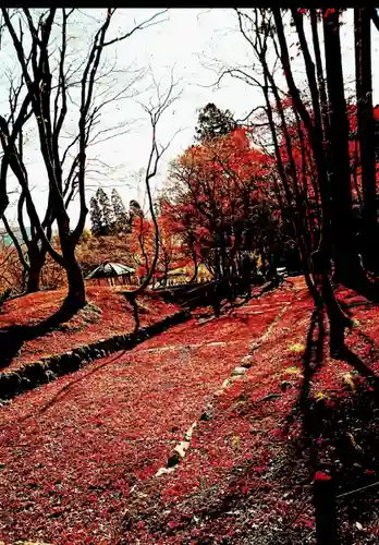 鶏足寺(滋賀県)