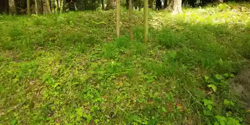 出雲大神宮の自然