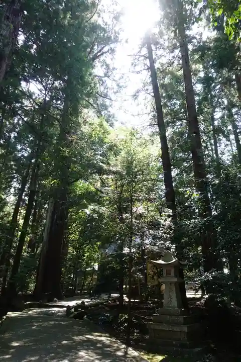 若狭彦神社(上社)の自然