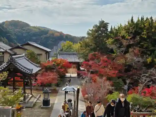 太山寺(兵庫県)